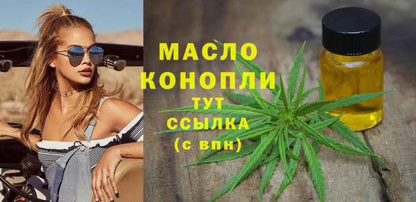 метадон Инта
