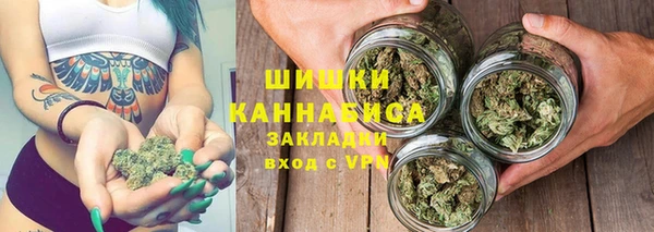 метадон Инта