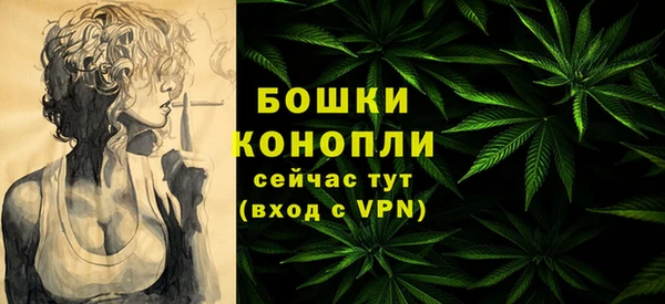 гидропоника Иннополис