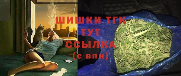 метадон Инта