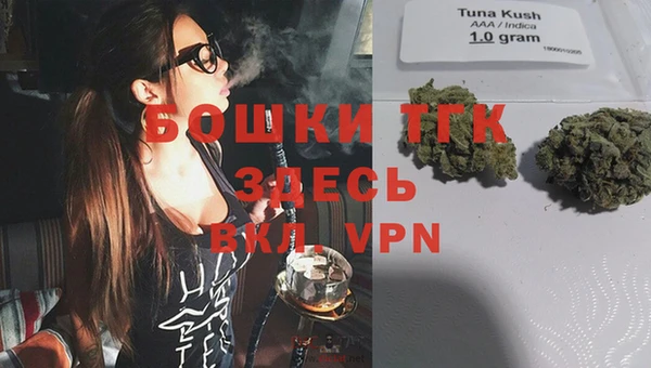 метадон Инта