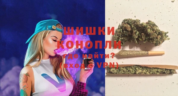 гидропоника Иннополис