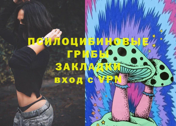 гидропоника Иннополис