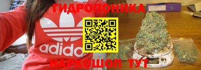 стаф Волжский